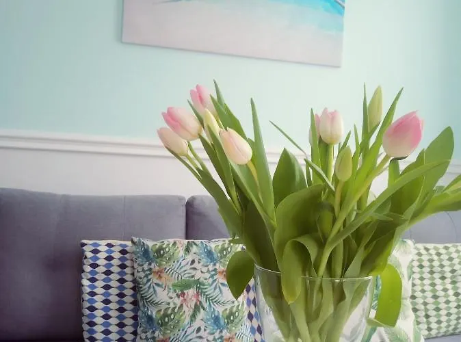 Fiore * Duszniki Zdrój